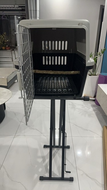 鸦友社区-MrRaven-渡鸦先生