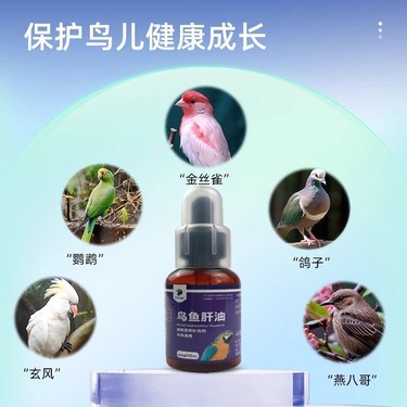 鸦友社区-MrRaven-渡鸦先生