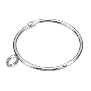 渡鸦专用脖套定位器佩戴配件不锈钢圆环鸦友社区-MrRaven-渡鸦先生鸦友社区