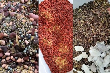 图片[6]鸦友社区-MrRaven-渡鸦先生渡鸦先生鸦科粮鸦友社区-MrRaven-渡鸦先生鸦友社区