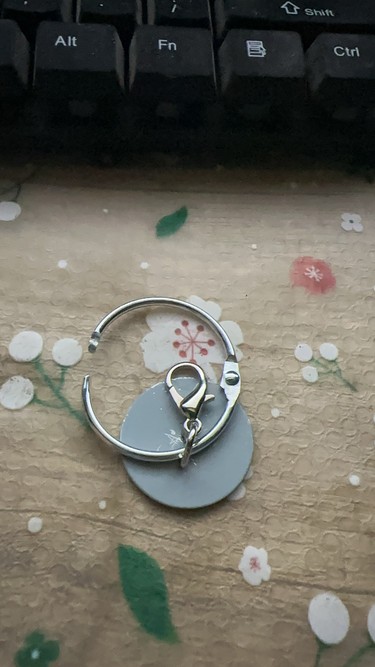 图片[6]鸦友社区-MrRaven-渡鸦先生渡鸦专用脖套定位器佩戴配件不锈钢圆环鸦友社区-MrRaven-渡鸦先生鸦友社区