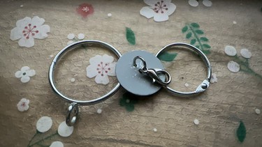 图片[7]鸦友社区-MrRaven-渡鸦先生渡鸦专用脖套定位器佩戴配件不锈钢圆环鸦友社区-MrRaven-渡鸦先生鸦友社区