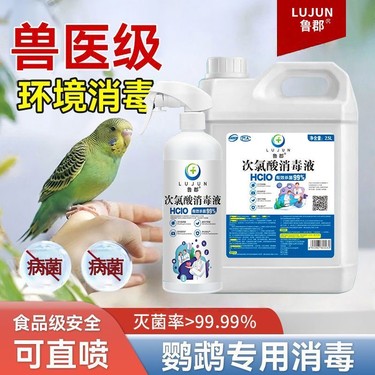 鸦友社区-MrRaven-渡鸦先生