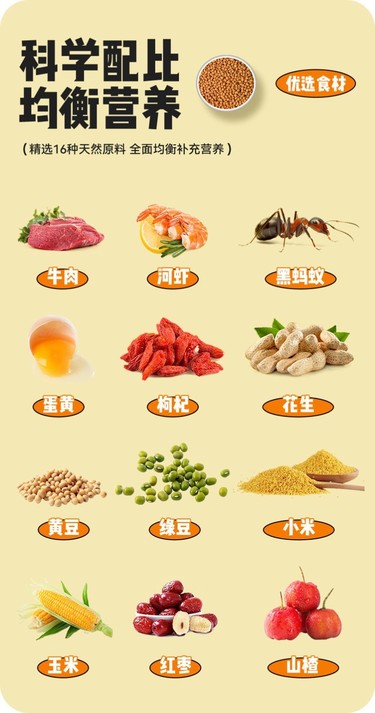 图片[9]鸦友社区-MrRaven-渡鸦先生渡鸦先生鸦科粮鸦友社区-MrRaven-渡鸦先生鸦友社区